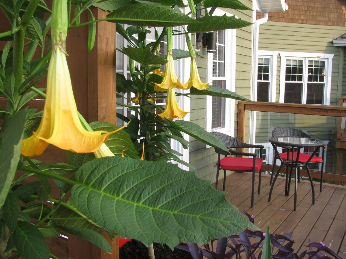 Gi'Temps Couette Et Cafe B&B Granby Exterior foto